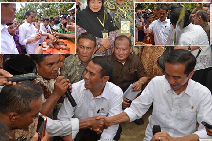 Direksi Bank BUMN Diminta Dukung Kakao